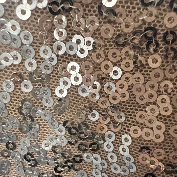 Sparkle Sequin Crop Top – H&M (Size S) - Picture 3 of 5